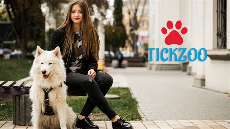 tuckzoo|Fascinating World of Tickzoo: A Comprehensive Guide.